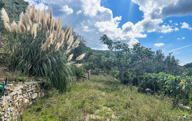 Casa Marte - Photo 24