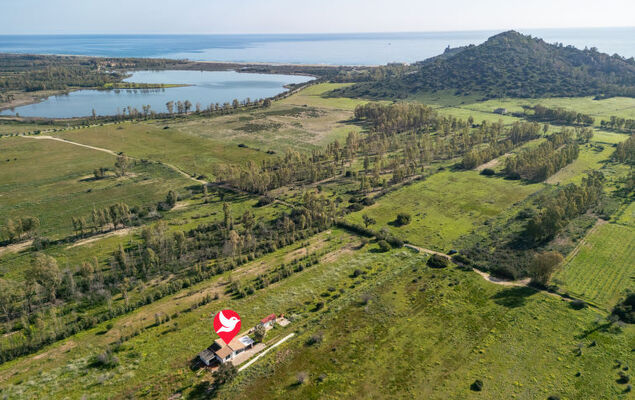 Sa Frontera - Photo 2