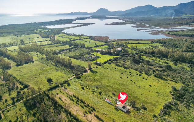 Sa Frontera - Photo 25