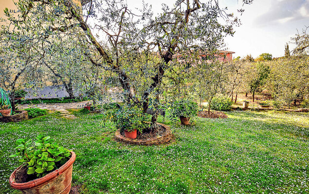 Matteuzzi - Photo 10